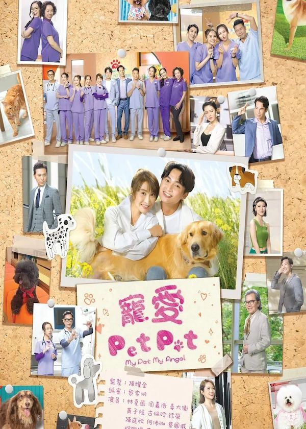 Watch latest TVB Drama My Pet My Angel on HK TV Dramas